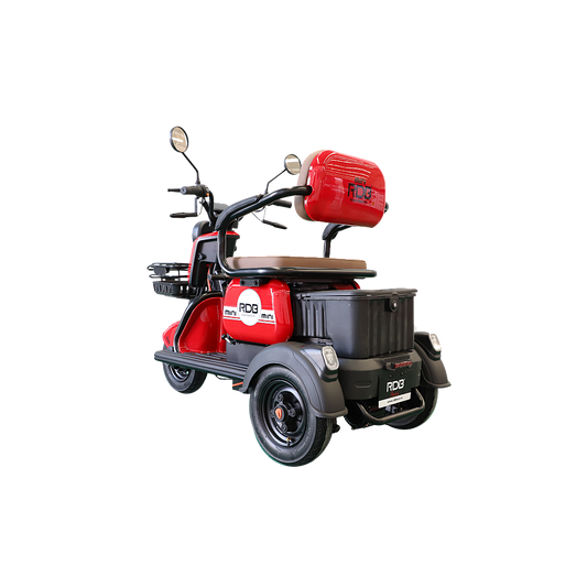 BULLBIKE Harbin Elektro Scooter 250 Watt (Max Peak 0,6 kW) 60V 20Ah 25Km/h/ Seniorenmobil / Dreirad