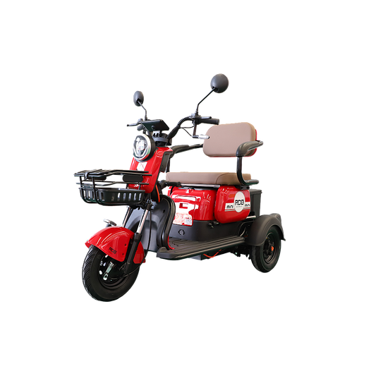 BULLBIKE Harbin Elektro Scooter 250 Watt (Max Peak 0,6 kW) 60V 20Ah 25Km/h/ Seniorenmobil / Dreirad
