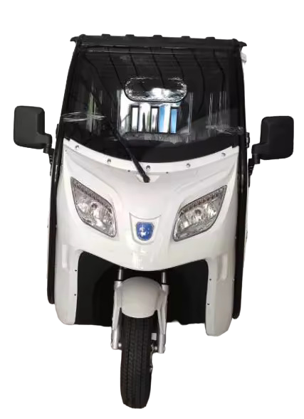 BULLBIKE Mainz Cargo 45km/h 60V 100Ah 3000W Dreirad Pickup