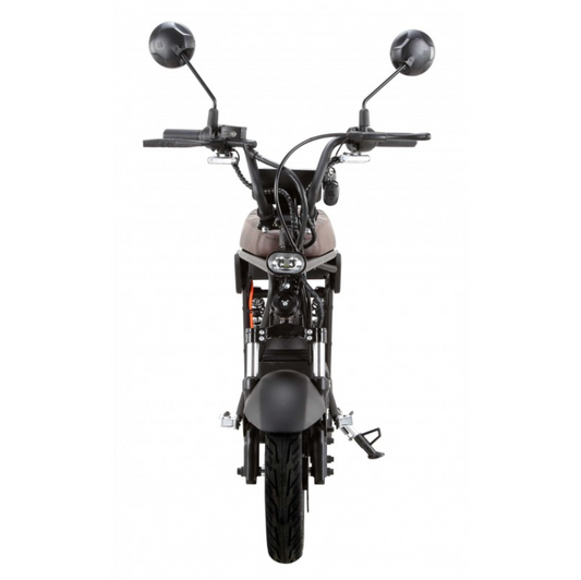 BULLBIKE Nizza Elektro Scooter 48V 20AH 250 Watt (Max Peak 0,6 kW) 25KM/H Lithium