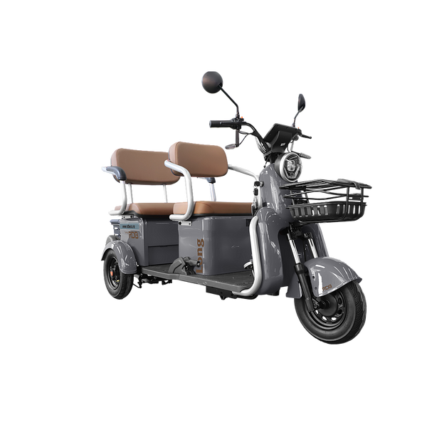 BULLBIKE Atlanta Elektro Scooter 250 Watt (Max Peak 0,6 kW) 60V 20Ah 25Km/h/ Seniorenmobil / Dreirad