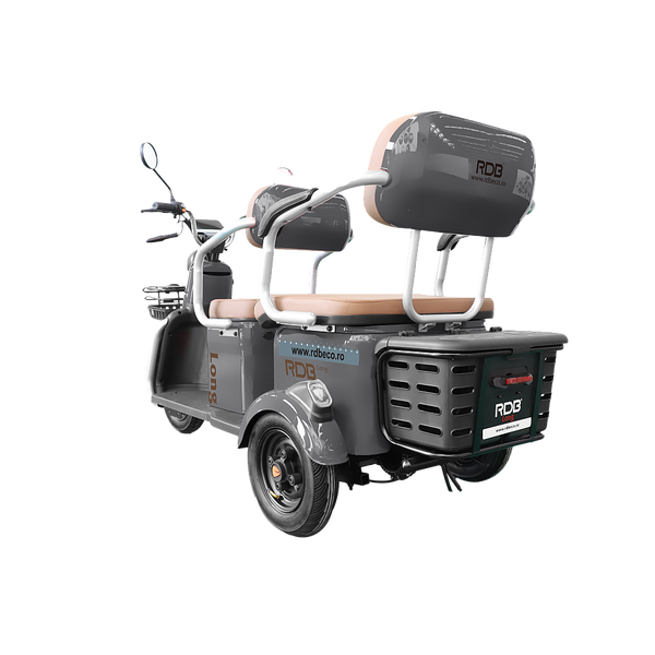 BULLBIKE Atlanta Elektro Scooter 250 Watt (Max Peak 0,6 kW) 60V 20Ah 25Km/h/ Seniorenmobil / Dreirad