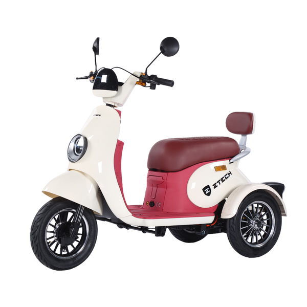 BULLBIKE Bogota Elektro Scooter 250 Watt (Max Peak 0,6 kW) 60V 20Ah 25Km/h/ Seniorenmobil / Dreirad