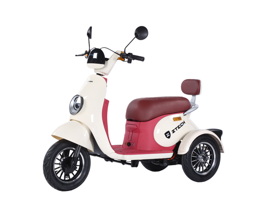 BULLBIKE Bogota Elektro Scooter 250 Watt (Max Peak 0,6 kW) 60V 20Ah 25Km/h/ Seniorenmobil / Dreirad