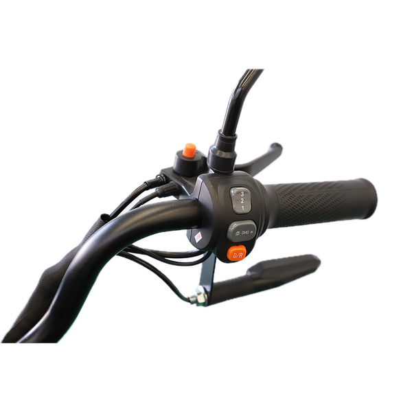 BULLBIKE Dalian Elektro Scooter 600W 60V 20Ah 25Km/h/ Seniorenmobil / Dreirad