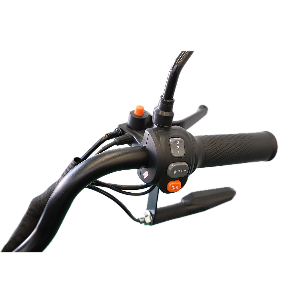 BULLBIKE Dalian Elektro Scooter 600W 60V 20Ah 25Km/h/ Seniorenmobil / Dreirad