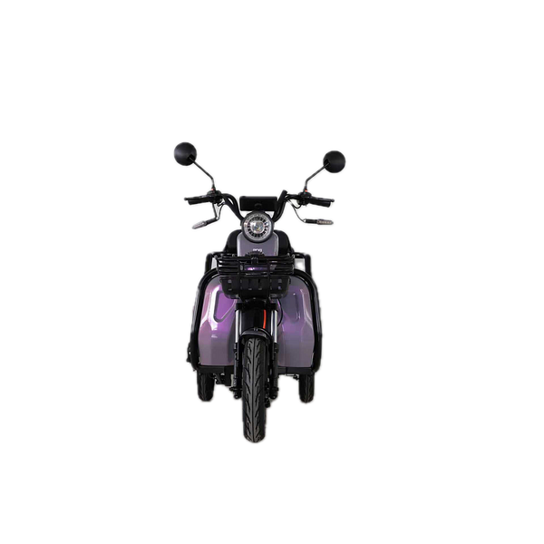 BULLBIKE Dalian Elektro Scooter 600W 60V 20Ah 25Km/h/ Seniorenmobil / Dreirad