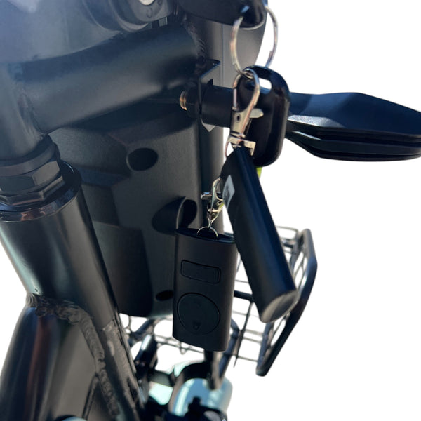 BULLBIKE Hamburg Elektro Scooter 600W 72V 20Ah 25Km/h/ Seniorenmobil / Dreirad