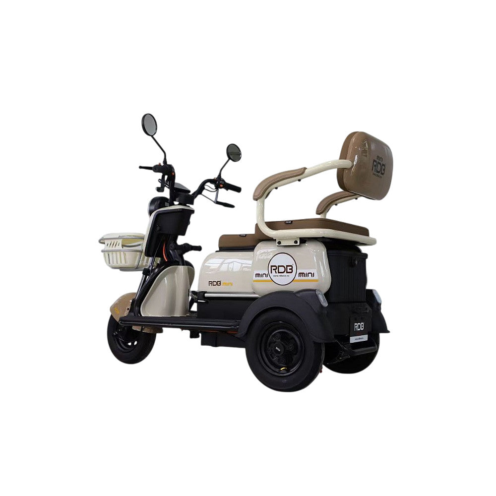 BULLBIKE Harbin Elektro Scooter 250 Watt (Max Peak 0,6 kW) 60V 20Ah 25Km/h/ Seniorenmobil / Dreirad