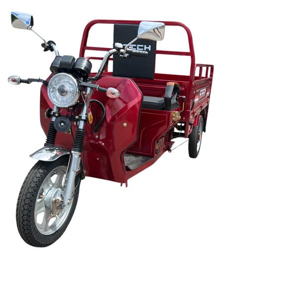 BULLBIKE Hong Kong Cargo E-Lastendreirad 250 Watt (Max Peak 0,6 kW) 60V 45AH 25km/h