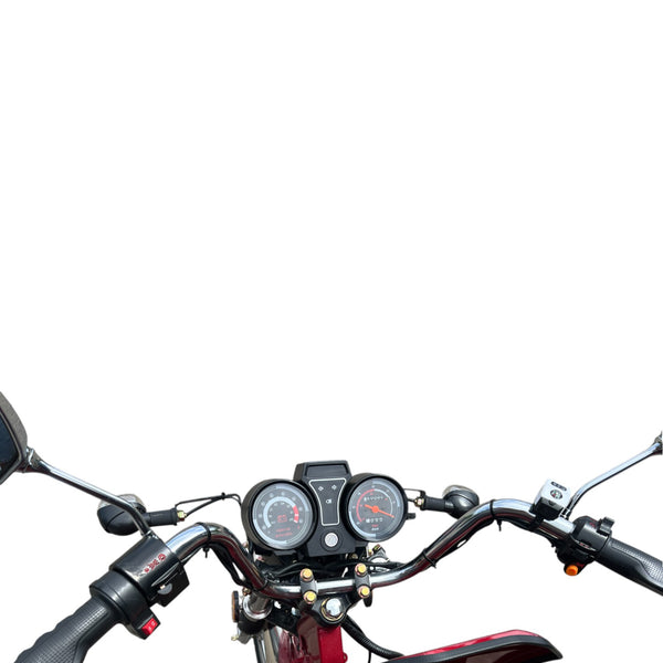 BULLBIKE Hong Kong Cargo E-Lastendreirad 250 Watt (Max Peak 0,6 kW) 60V 45AH 25km/h