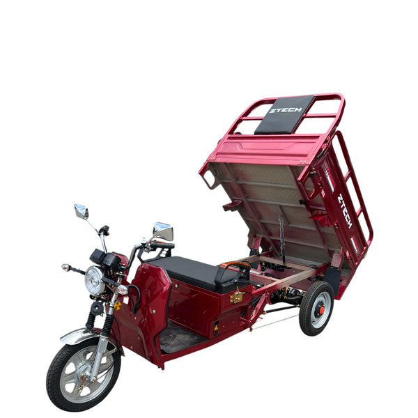 BULLBIKE Hong Kong Cargo E-Lastendreirad 250 Watt (Max Peak 0,6 kW) 60V 45AH 25km/h