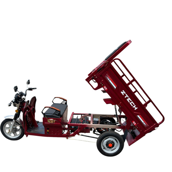 BULLBIKE Hong Kong Cargo E-Lastendreirad 250 Watt (Max Peak 0,6 kW) 60V 45AH 25km/h