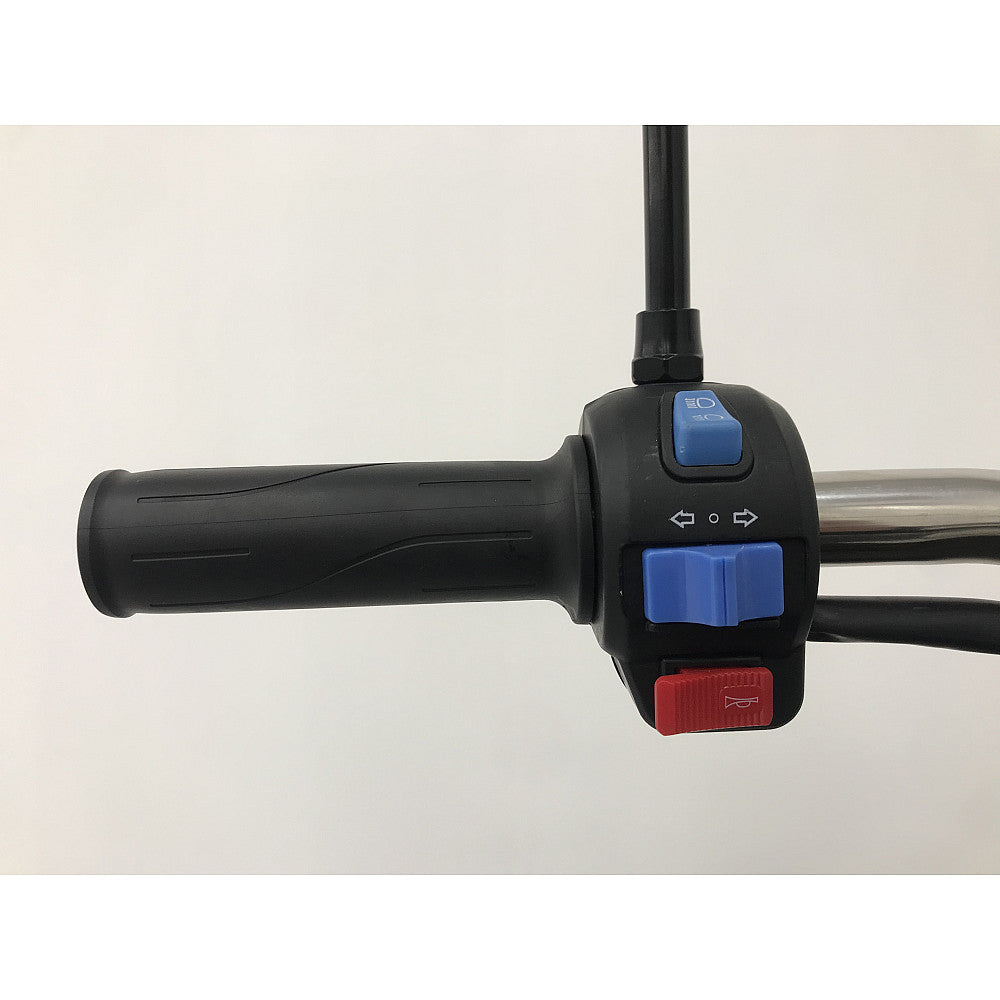 BULLBIKE Kano Cargo E-Lastendreirad 600W 72V 32Ah 25km/h