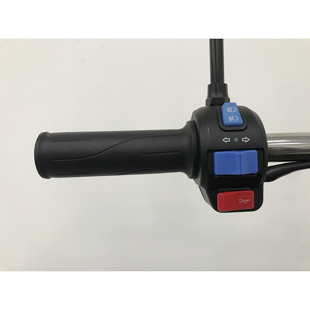 BULLBIKE Kano XL Cargo E-Lastendreirad 250 Watt (Max Peak 0,6 kW) 72V 45Ah 25km/h