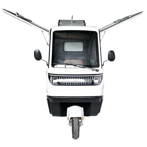 BULLBIKE Lagos Cargo E-Lastendreirad 25 km/h/45 km/h 60V 100Ah 250 Watt (Max Peak 0,6 kW)