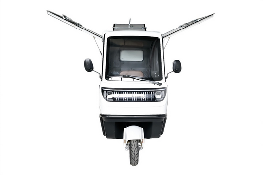 BULLBIKE Lagos Cargo E-Lastendreirad 25 km/h/45 km/h 60V 100Ah 250 Watt (Max Peak 0,6 kW)