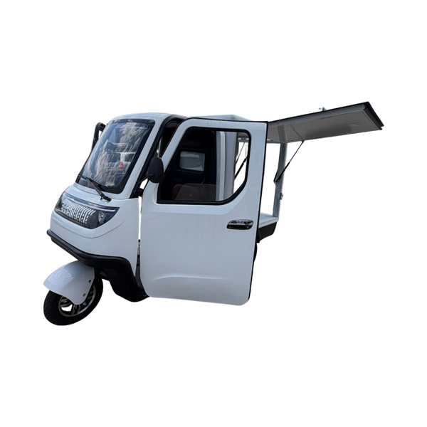 BULLBIKE Lagos Cargo E-Lastendreirad 25 km/h/45 km/h 60V 100Ah 250 Watt (Max Peak 0,6 kW)