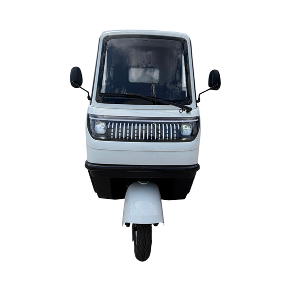BULLBIKE Lagos Cargo E-Lastendreirad 25 km/h/45 km/h 60V 100Ah 250 Watt (Max Peak 0,6 kW)