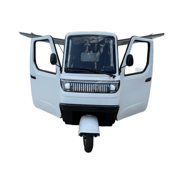 BULLBIKE Lagos Cargo E-Lastendreirad 25 km/h/45 km/h 60V 100Ah 600W