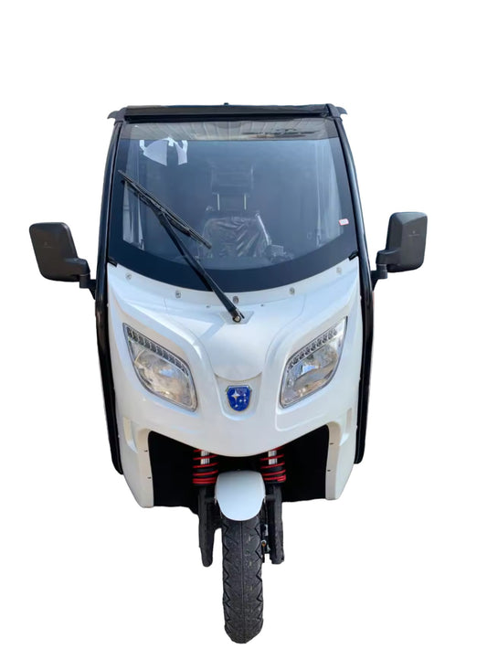 BULLBIKE Malmo Cargo E-Lastendreirad 250 Watt (Max Peak 0,6 kW) 60V 100Ah 25 km/h