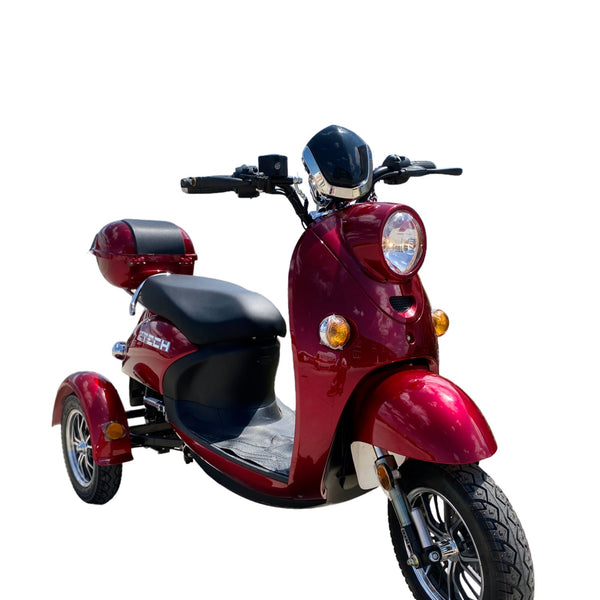 BULLBIKE Messina Dreirad Elektro Scooter 250 Watt (Max Peak 0,6 kW) 60V 20Ah 25 km/h /Seniorenmobil /