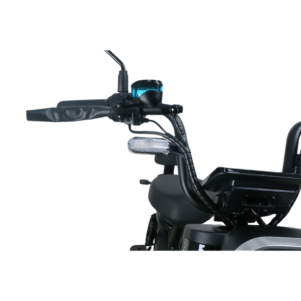 BULLBIKE Mumbai Elektro Scooter 600W 48V 20Ah 25 km/h