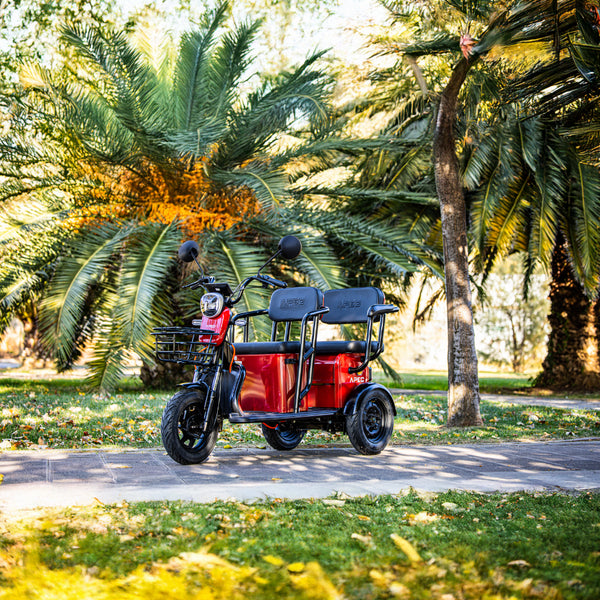 BULLBIKE Proto Elektro Scooter 600W 60V 20Ah 25Km/h/ Seniorenmobil / Dreirad