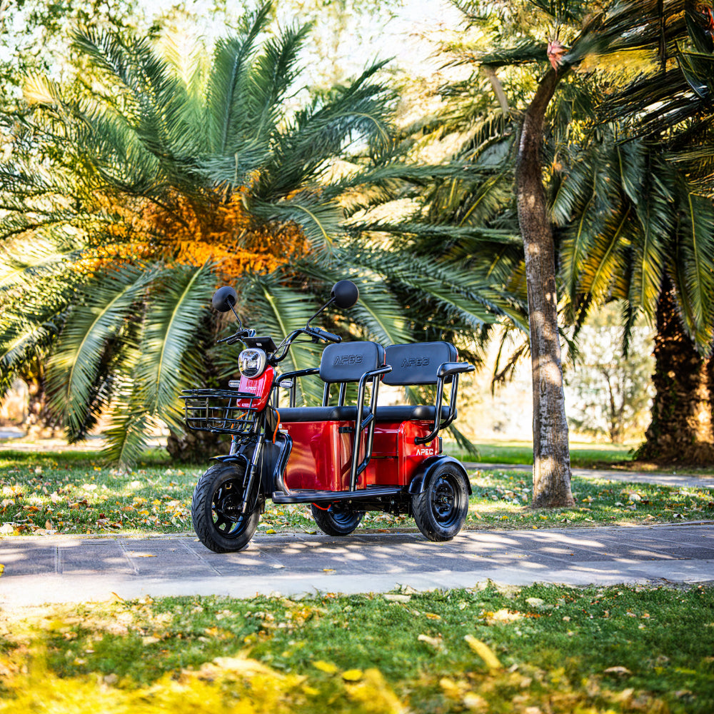 BULLBIKE Proto Elektro Scooter 600W 60V 20Ah 25Km/h/ Seniorenmobil / Dreirad