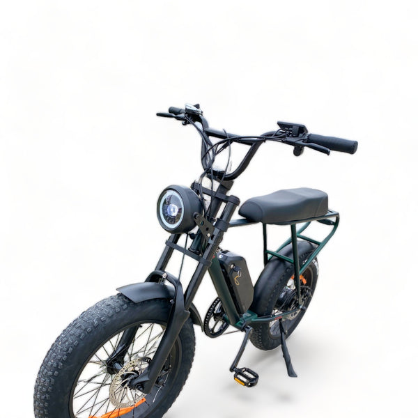 BULLBIKE Sofia Fatbike E-Bike 250W 48V 13Ah 25 km/h Mit Gashebel