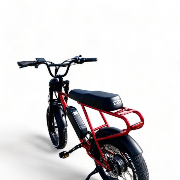 BULLBIKE Sofia Fatbike E-Bike 250W 48V 13Ah 25 km/h Mit Gashebel