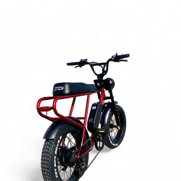 BULLBIKE Sofia Fatbike E-Bike 250W 48V 13Ah 25 km/h Mit Gashebel