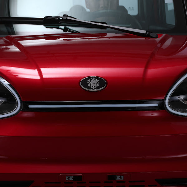 BULLBIKE Stuttgart Elektro Kabineroller 600W 60V 100ah 25Km/h /2 Personen