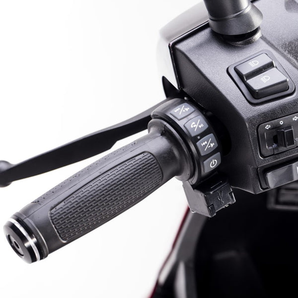 BULLBIKE Varna Elektro Scooter 250 Watt (Max Peak 0,6 kW) 60V 20-23Ah 25 km/h