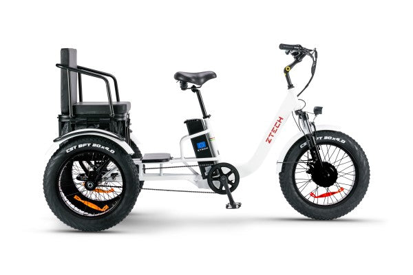 BULLBIKE TOKIO-Max E-Dreirad Fahrrad 48V 13Ah Lithium 250W 25Km/h