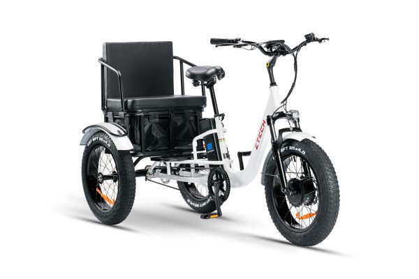 BULLBIKE TOKIO-Max E-Dreirad Fahrrad 48V 13Ah Lithium 250W 25Km/h