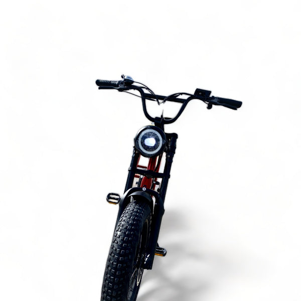 BULLBIKE Sofia Fatbike E-Bike 250W 48V 13Ah 25 km/h