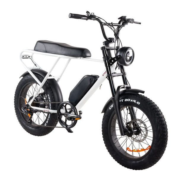 BULLBIKE Sofia Fatbike E-Bike 250W 48V 13Ah 25 km/h