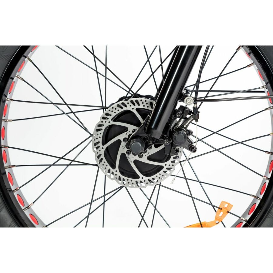 BULLBIKE TOKIO E-Dreirad Fahrrad 48V 13Ah Lithium 250W 25Km/h